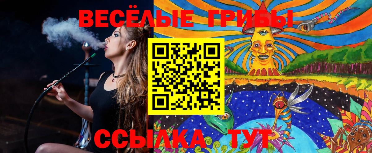 Галлюциногенные грибы Psilocybine cubensis  Вход с VPN  Воскресенск  Галлюциногенные грибы Cubensis 